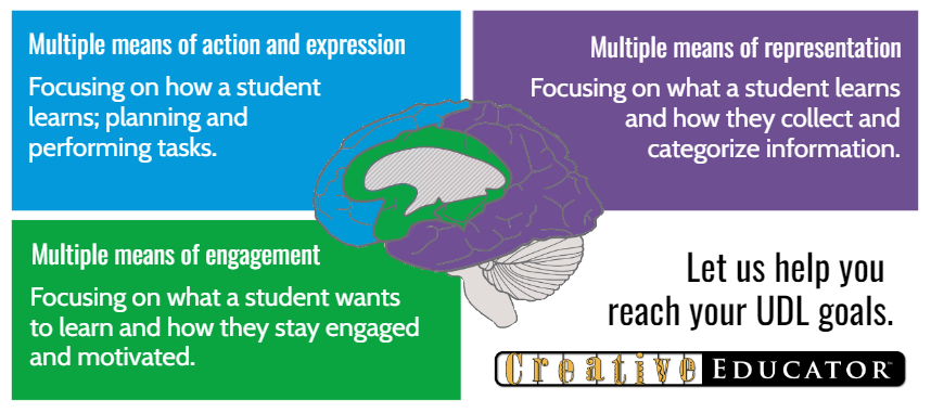 descriptions of the three principles of UDL